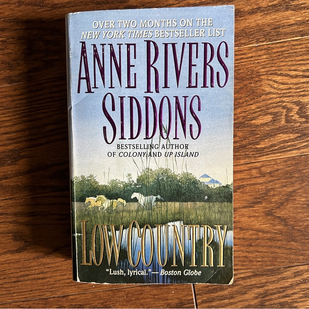 4 books for $16 - LOW COUNTRY by Anne Rivers Siddons